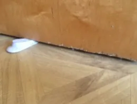 Firedoor with Wedge holding open